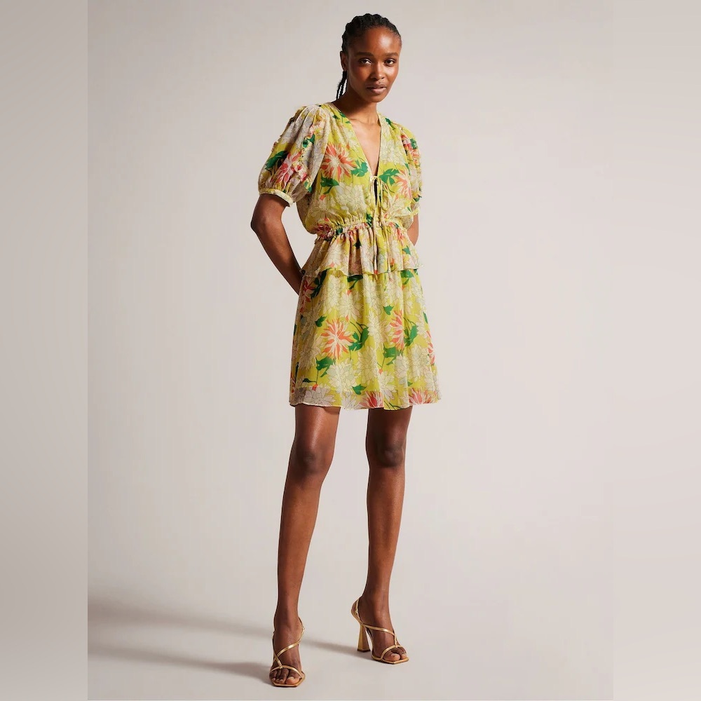 BNWT Ted Baker London Dress